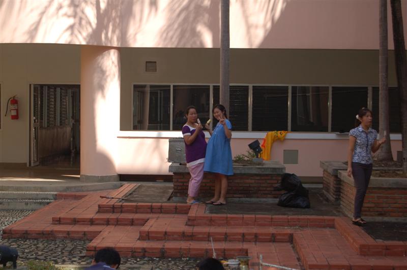 ../Picture/2552/DSC_0036 (Medium).JPG